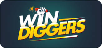 Online Casino Experience at Success Diggers Casino Site